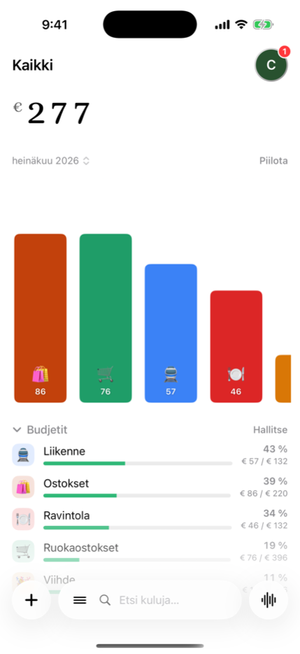 Kuukausibudjetit kategorioittain