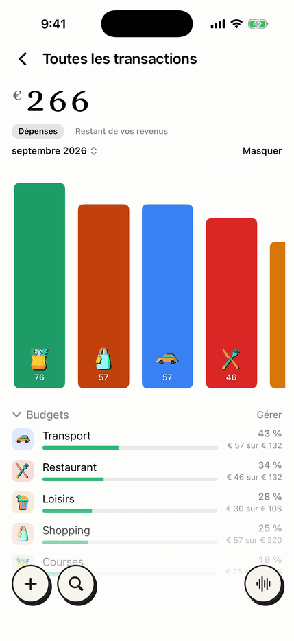 Budgets mensuels par catégorie