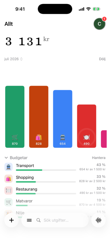 Månadsbudgetar per kategori